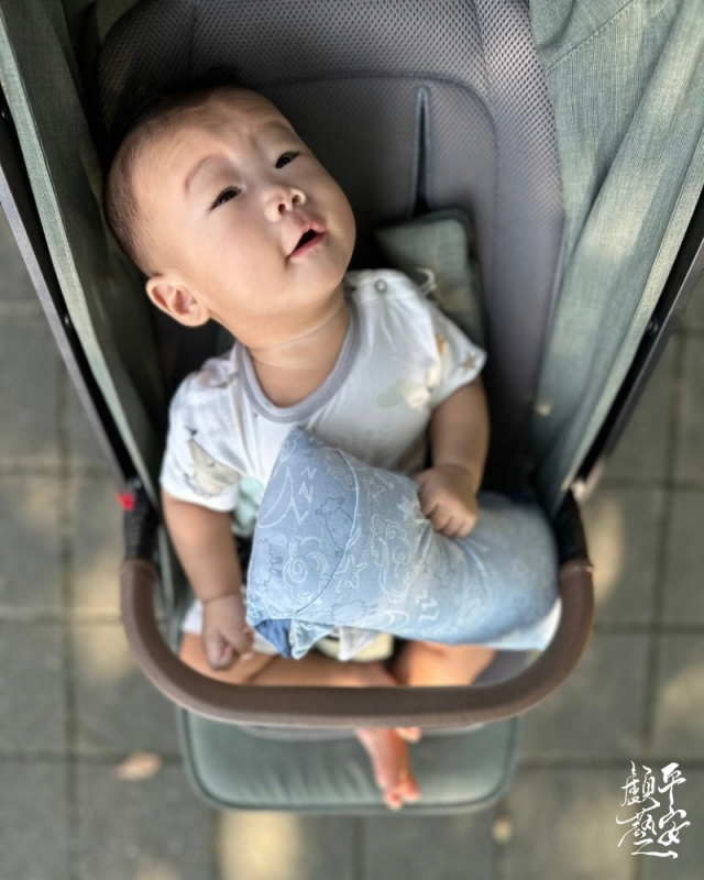 小款 S 三角旗安撫抱枕（全款式）