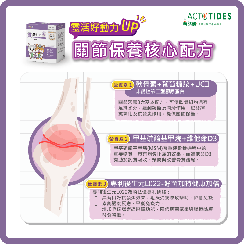 萌肽優骨好壯壯_關節保養_獨家專利後生元L022_UC-II非變性二型膠原蛋白_MSM 甲基硫醯基甲烷